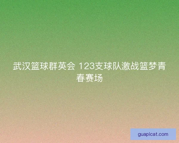 武汉篮球群英会 123支球队激战篮梦青春赛场